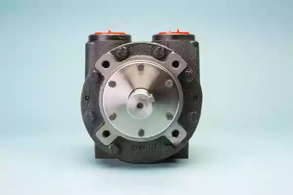V10 VANE MOTOR