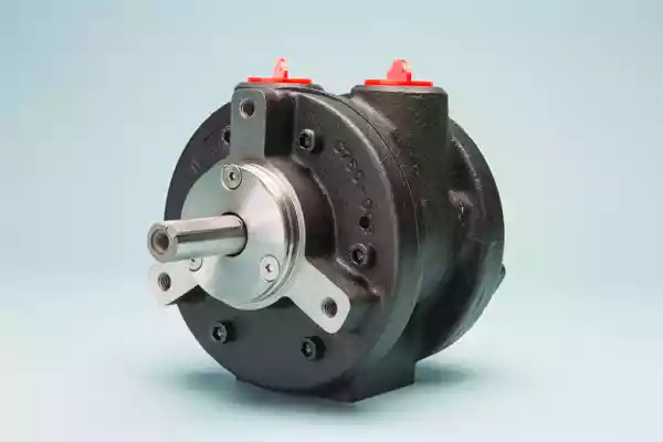 V6 VANE MOTOR