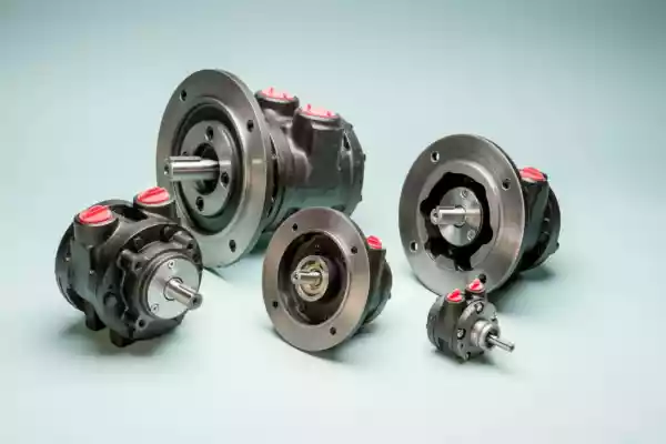 VANE MOTOR WITH BRAKE AND VALVE