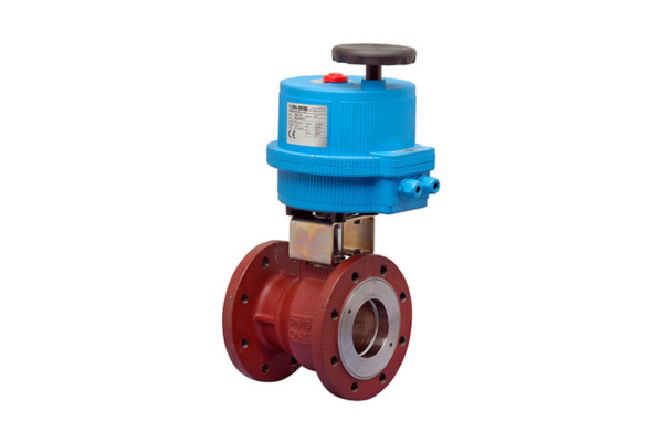 Cast Iron Valve