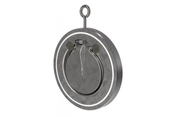 swing check valve with spring
