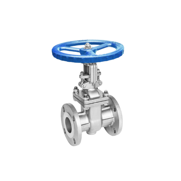 Gate Valve Flange